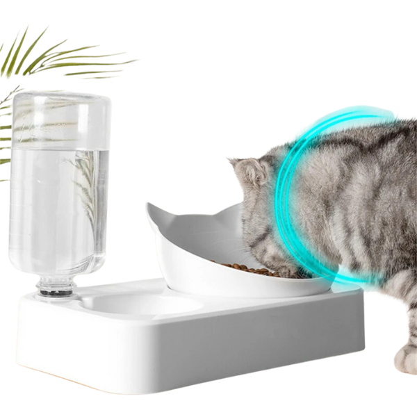 Tigela de Comida para Gatos 2 em 1 - Alimentador Automático