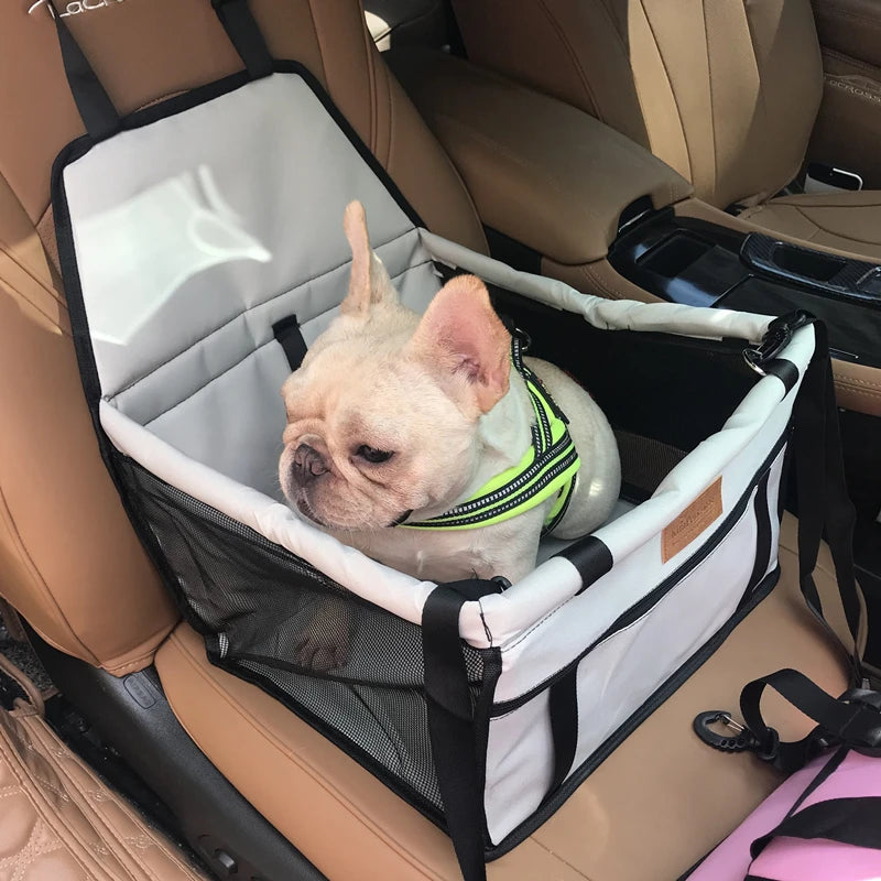 Transporte de Assento de Carro para PET